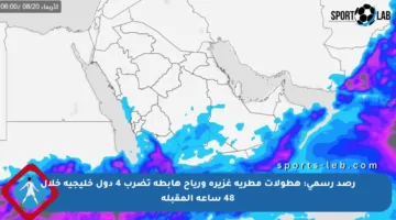 رصد رسمي: هطولات مطرية غزيرة ورياح هابطة تضرب 4 دول خليجية خلال 48 ساعة المقبلة
